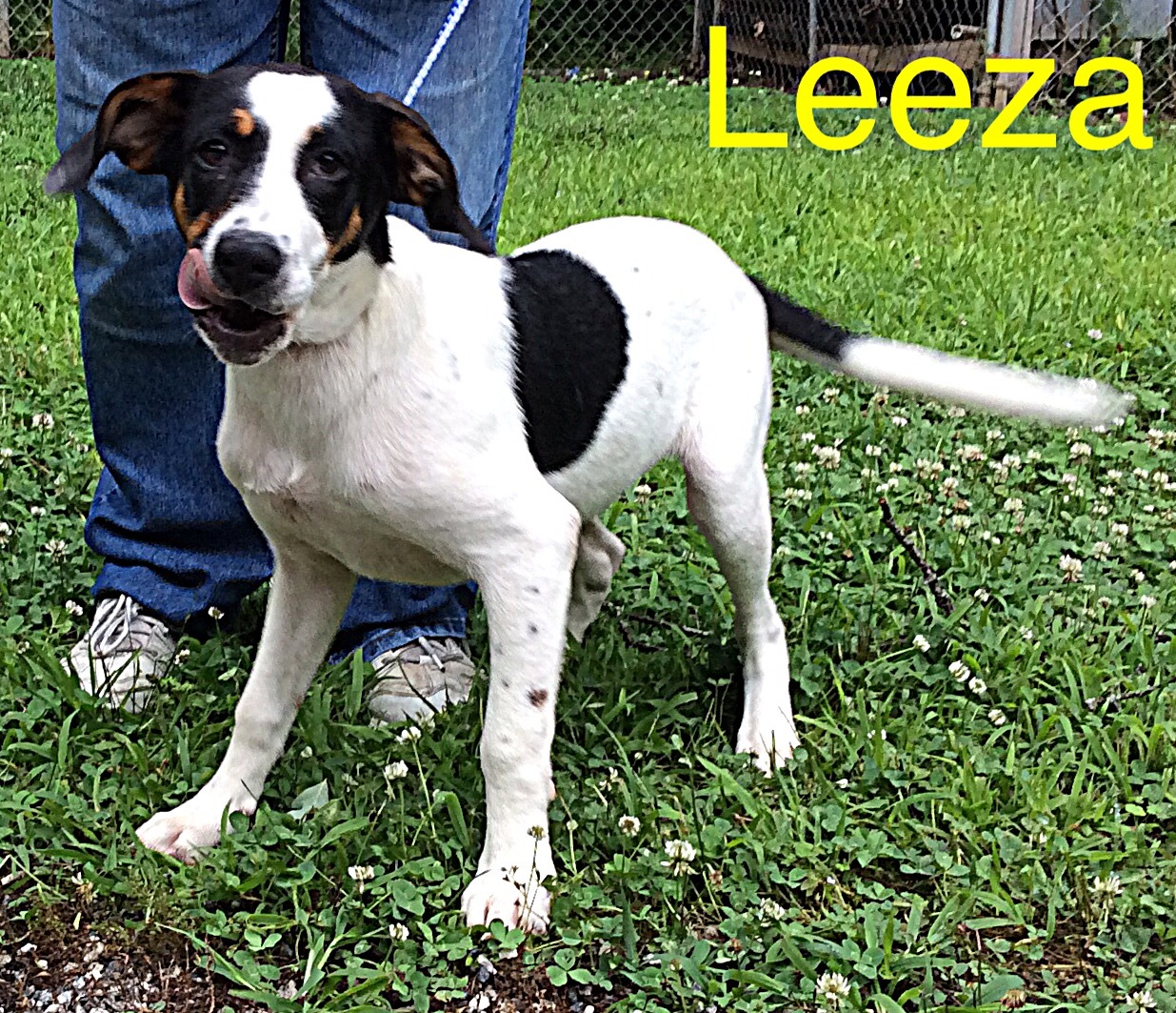 Leeza Dahlonega