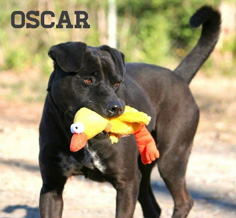 Oscar Macon
