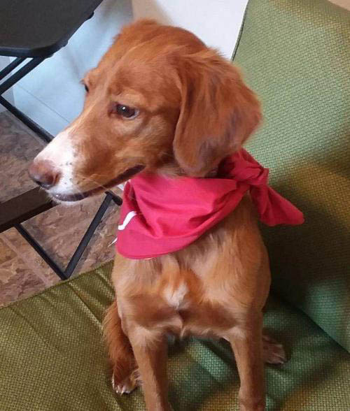 Daisy Eastman