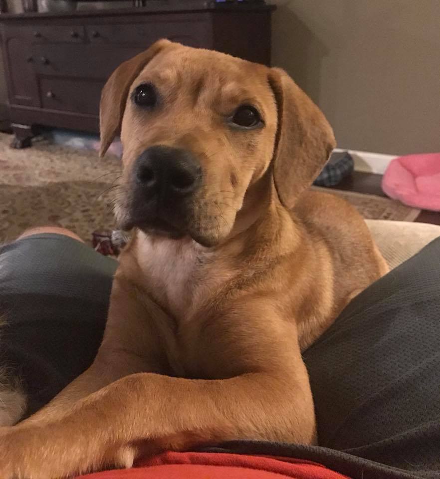 Gracie Valdosta