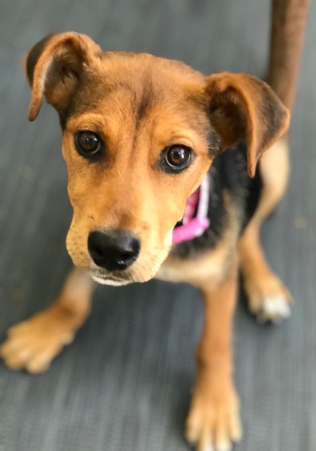 Ruby Valdosta