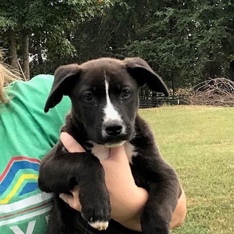 Lucy Oconee