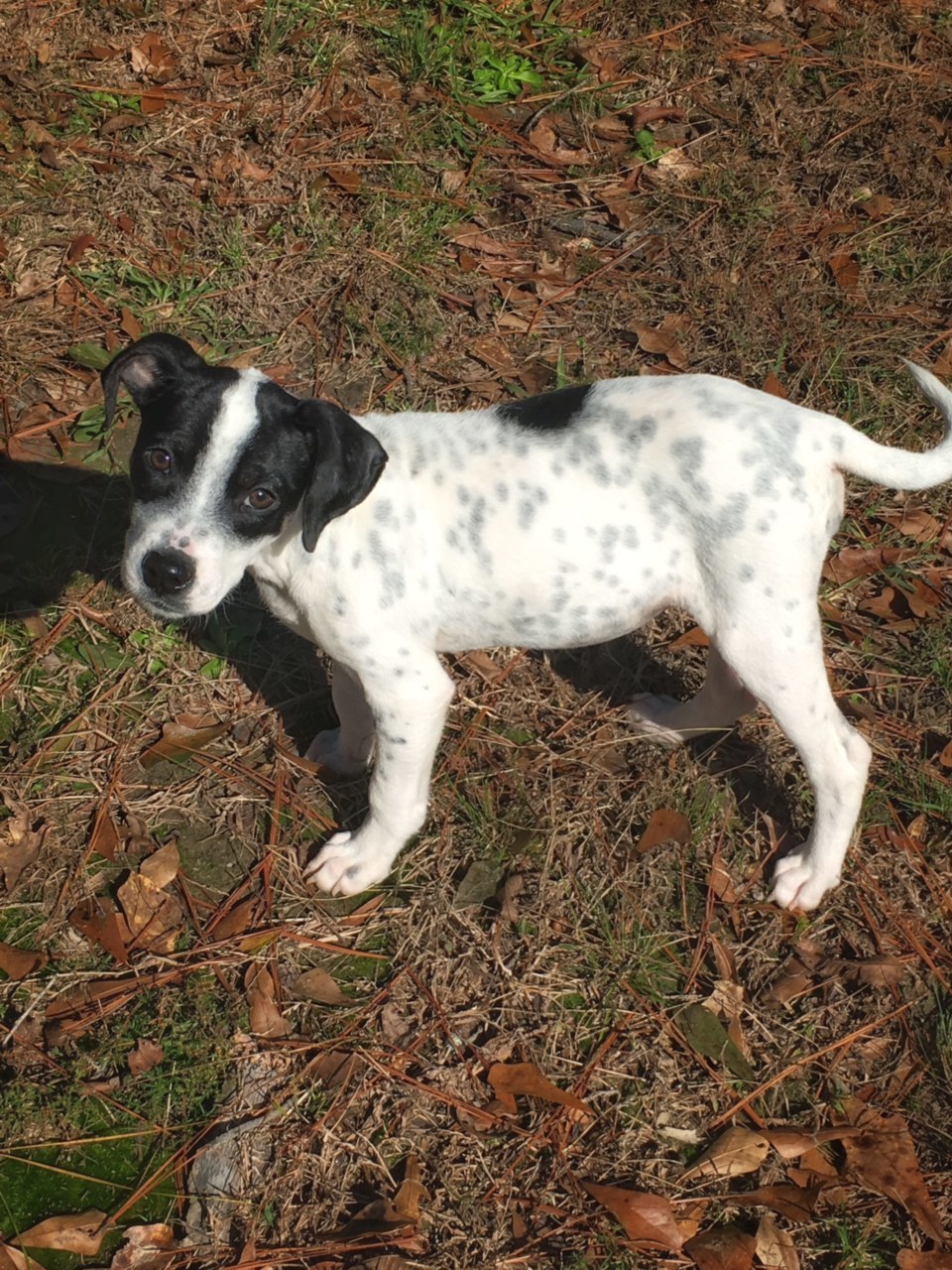 Lucy Furever