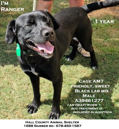 Ranger HallCo