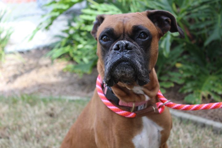 Bella Mae Brunswick