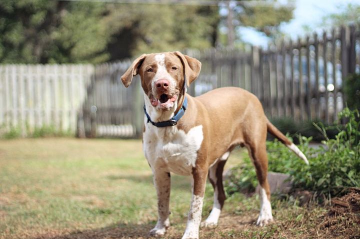 Buck Valdosta