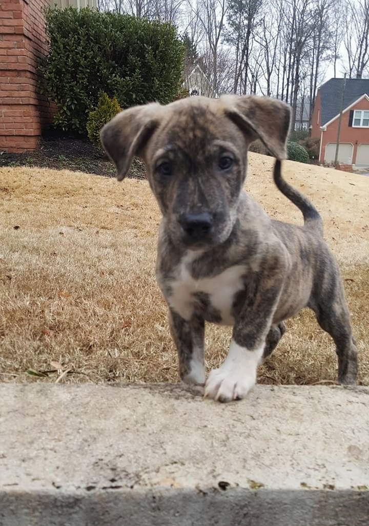 Kevin Mutt