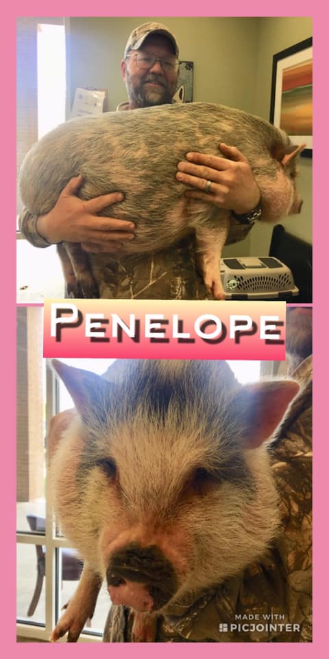 Penelope Macon