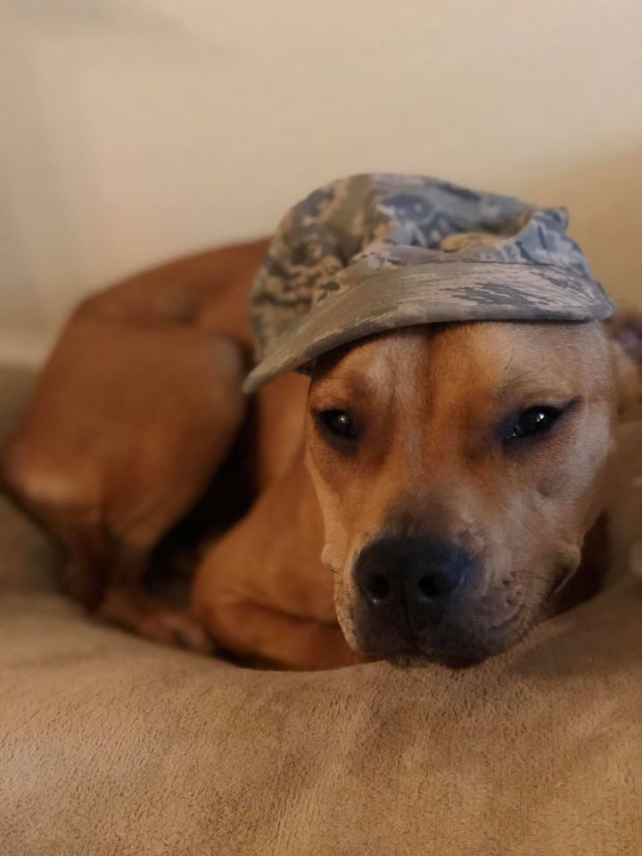 Sammy Valdosta