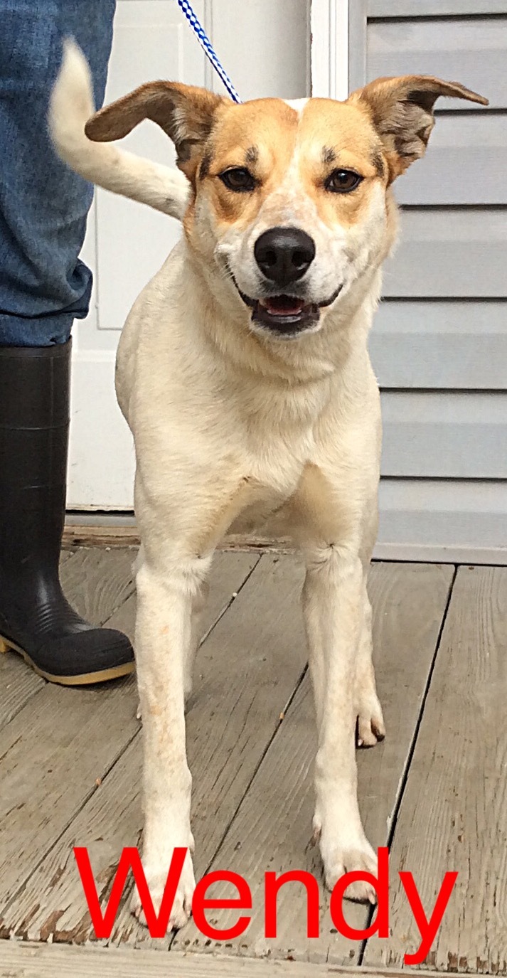 Wendy Dahlonega