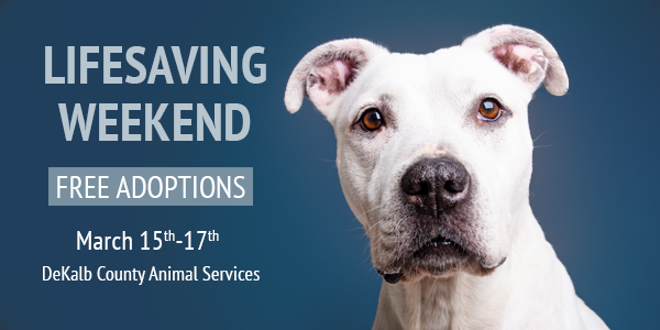 Lifesaving_Weekend_Header_v2