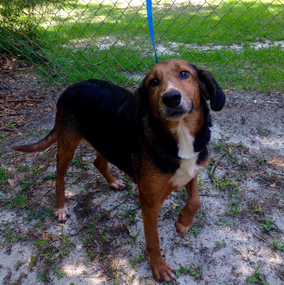 Ruby Bulloch County