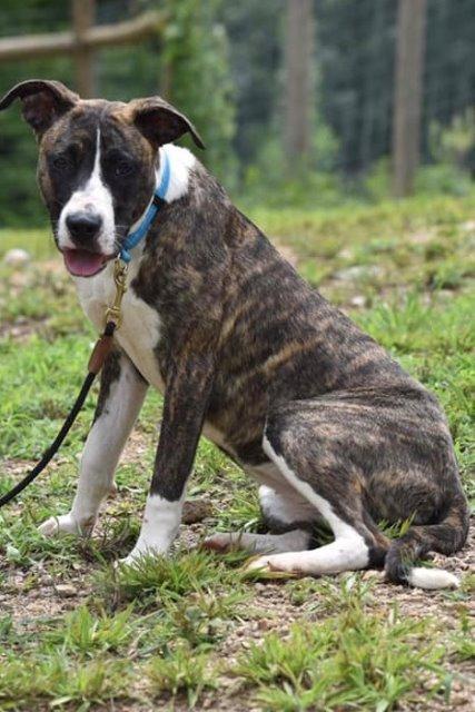 Sky Newnan Coweta