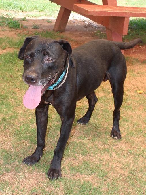 Blackie Athens