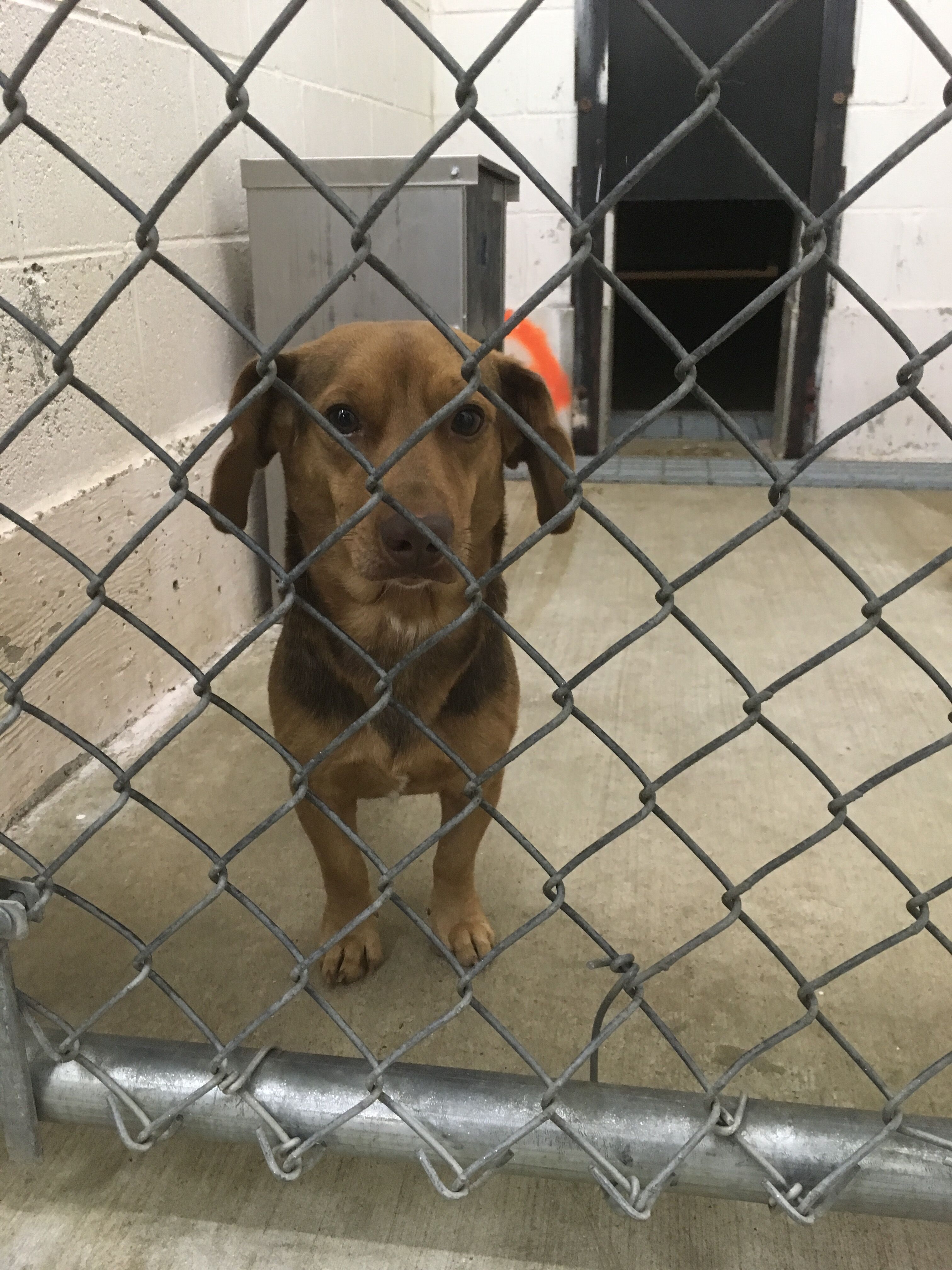 Catoosa Pen 4 Male