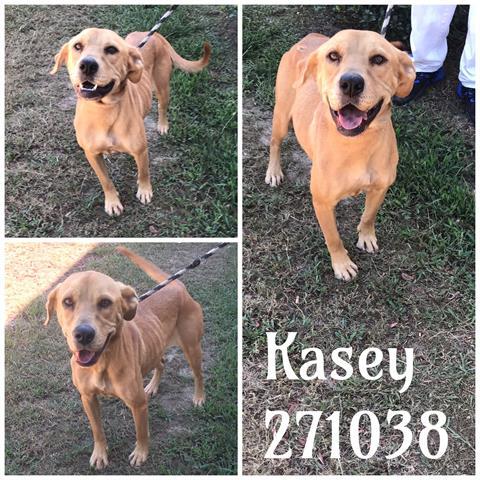 Kasey Macon Bibb