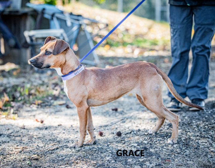 Grace Washington Wilkes Humane