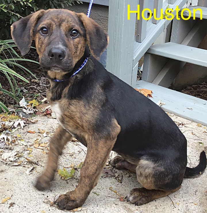 Houston Lumpkin