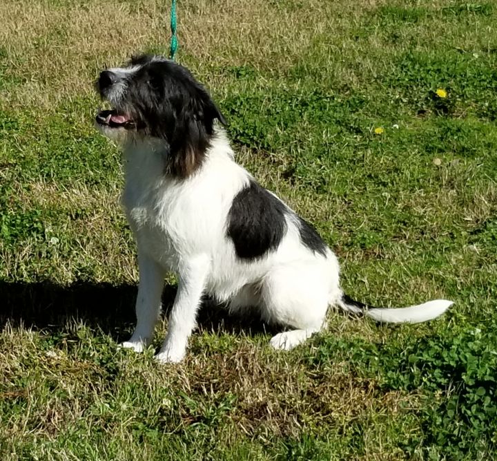 Otis Clover Run