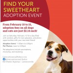 Adoptable (Official) Georgia Dogs for February 4, 2020