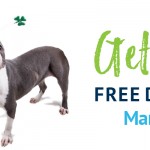 Adoptable (Official) Georgia Dogs for March 16, 2020