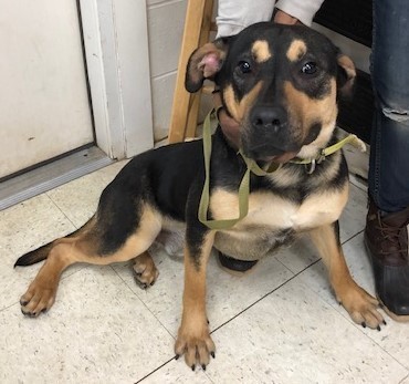 Monty Humane Society of Terrell County