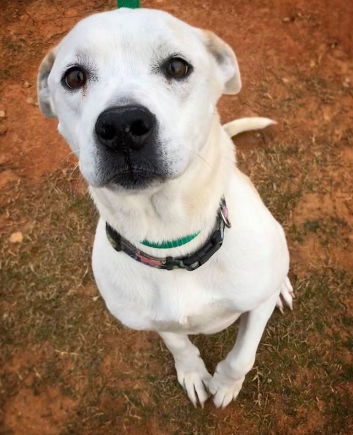 Nana Furever Match Dallas GA