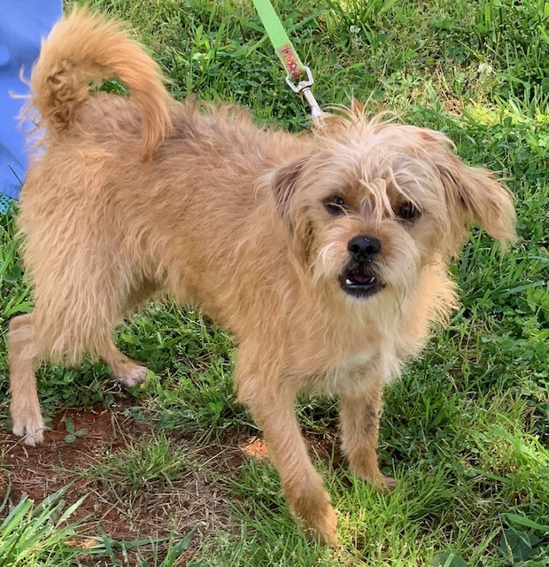 Rufus Alcovy Pet Rescue