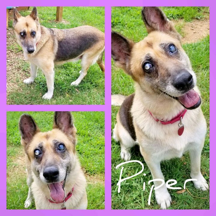 Piper Charles Smithcall Humane