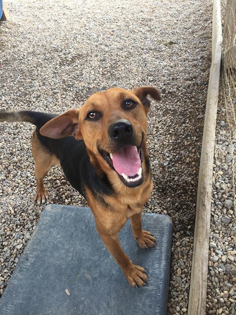 Spook Humane Societys Mountain Shelter