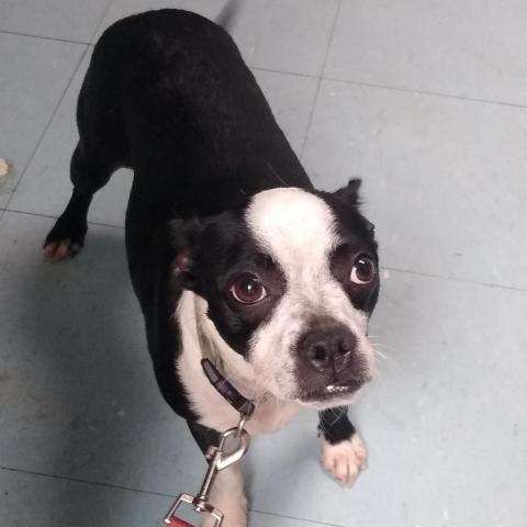 Little Bit Animal Ark Columbus GA