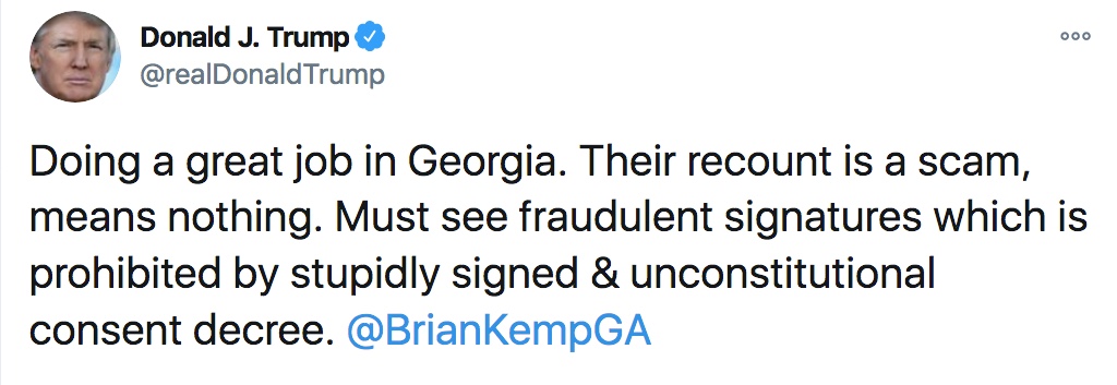Trump v Kemp 1