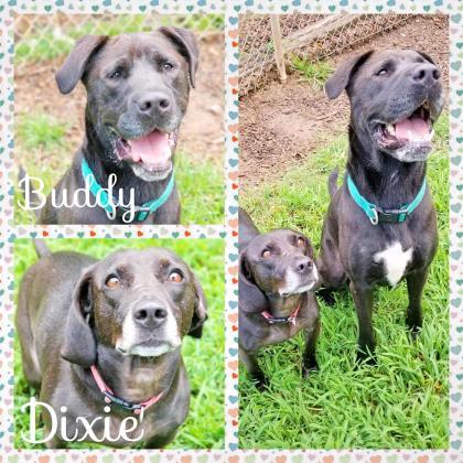 Buddy and Dixie Charles Smithgall Humane