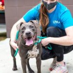 Adoptable (Official) Georgia Dogs for January 30, 2023