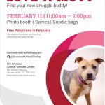 Adoptable (Official) Georgia Dogs for February 6, 2023