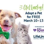 Adoptable (Official) Georgia Dogs for March 10, 2023