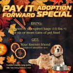 Adoptable (Official) Georgia Dogs for November 13, 2023