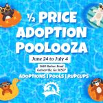 Adoptable (Official) Georgia Dogs for July 1, 2025