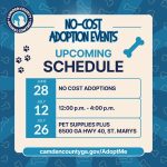 Adoptable (Official) Georgia Dogs for July 11, 2025