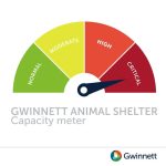 Adoptable (Official) Georgia Dogs for July 30, 2025